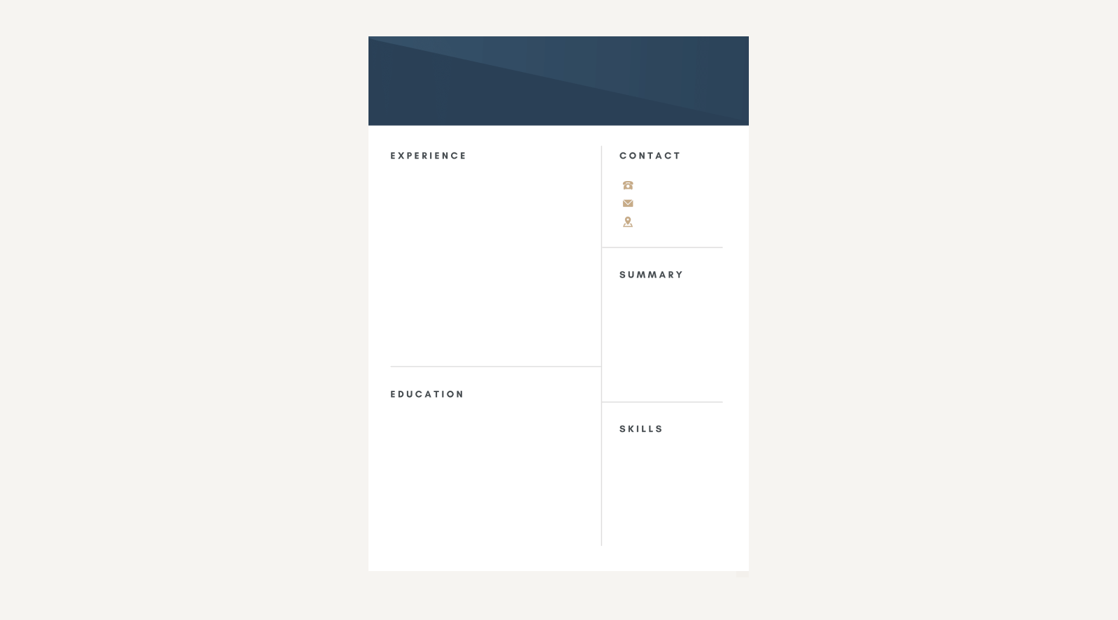 Goodnotes Resume Template